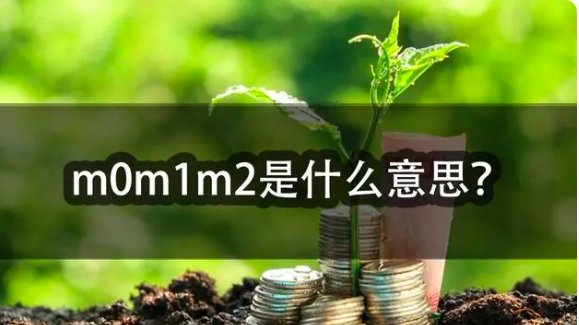 什么是M0?