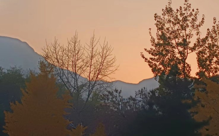 “顺颂时祺 秋绥冬禧”