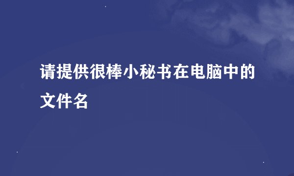 请提供很棒小秘书在电脑中的文件名