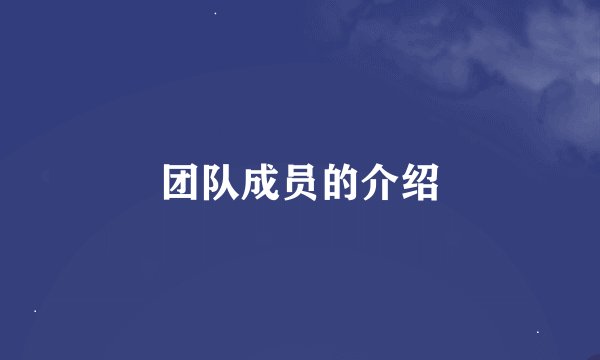 团队成员的介绍