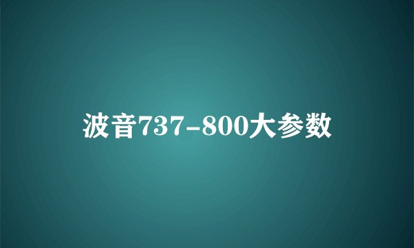 波音737-800大参数