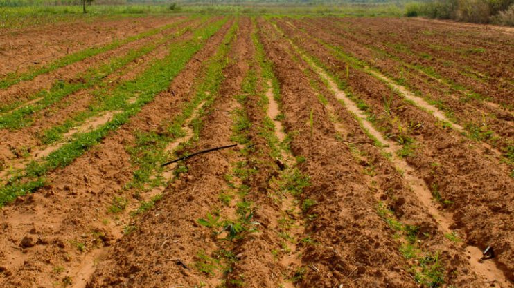 完整的用法有什么啊