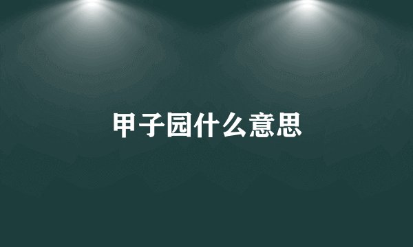 甲子园什么意思