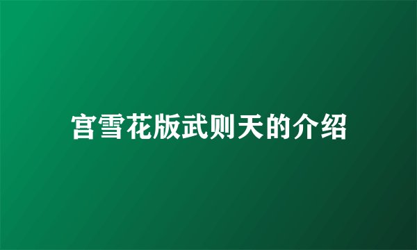 宫雪花版武则天的介绍