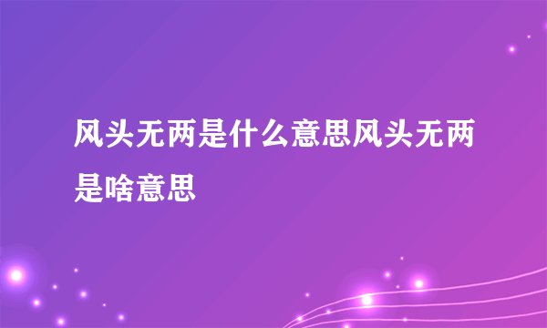 风头无两是什么意思风头无两是啥意思