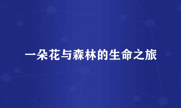 一朵花与森林的生命之旅