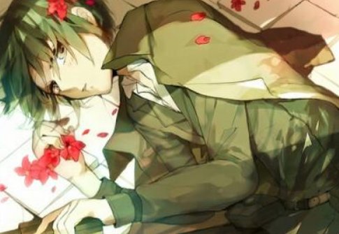 玫瑰少年是什么意思