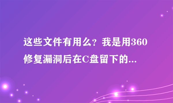 这些文件有用么？我是用360修复漏洞后在C盘留下的！没用 我就把它给删除了。 求高手指点下！