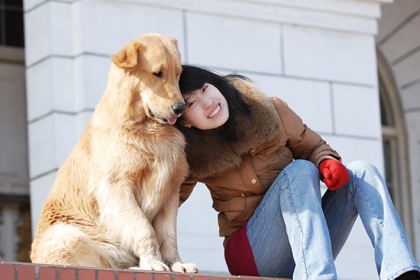 人与狗之间相处的态度