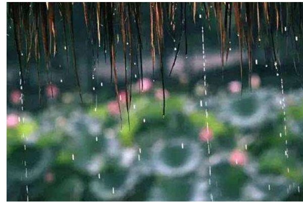 苏州的梅雨季节是几月份？