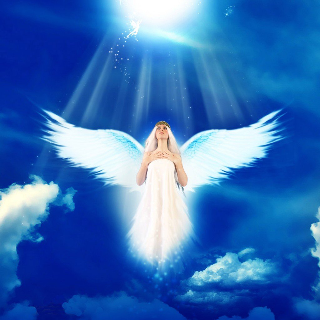 手机天使的人物简介