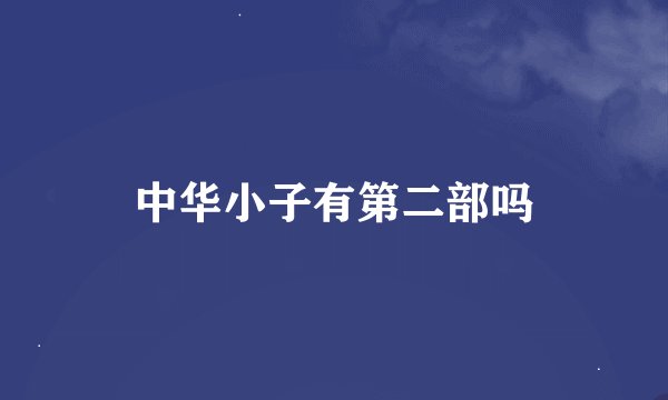 中华小子有第二部吗