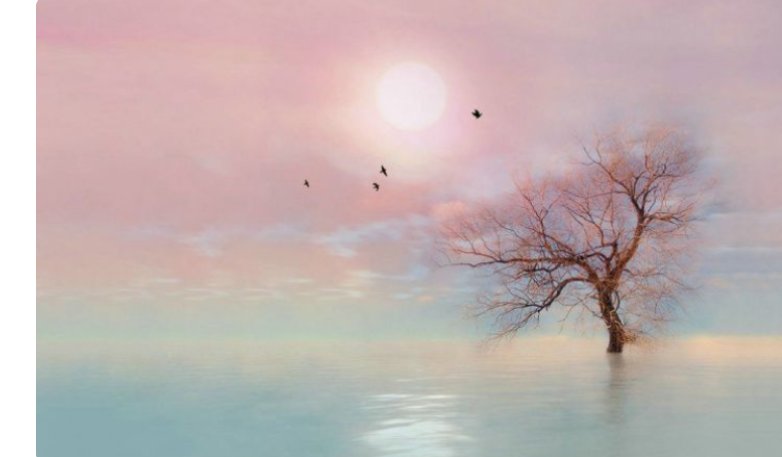 为什么岁月是把杀猪刀，而时光是把整容刀?