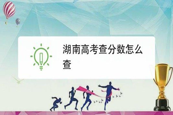 初中查分数的网站