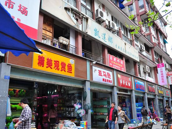 成都有哪些花鸟市场？