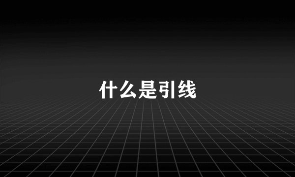 什么是引线
