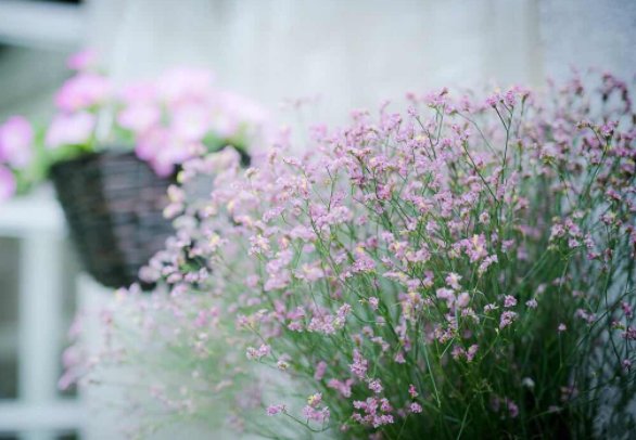 《你是人间四月天》歌词是什么?