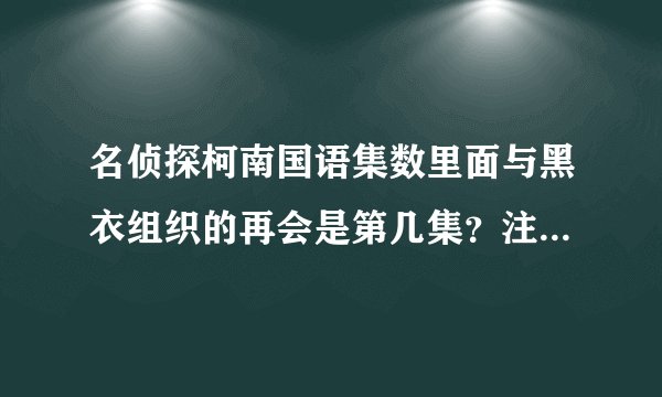 名侦探柯南国语集数里面与黑衣组织的再会是第几集？注意，是国语集数！