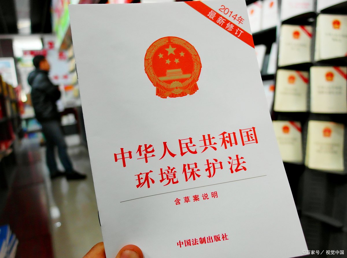 对环境违法行为进行包庇的该如何处罚