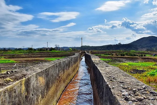 什么是水笕?图片