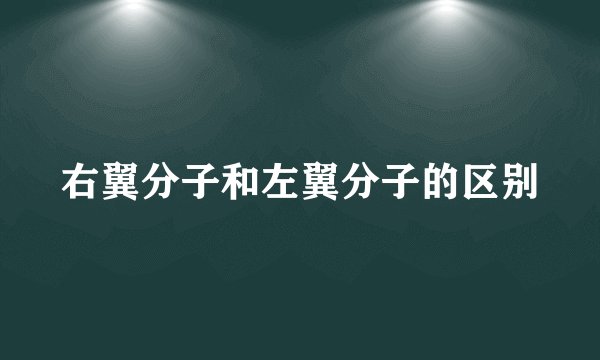 右翼分子和左翼分子的区别