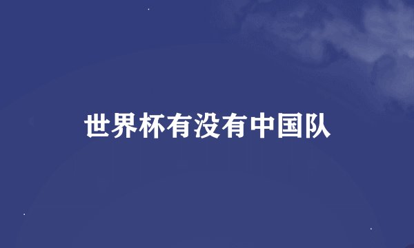 世界杯有没有中国队