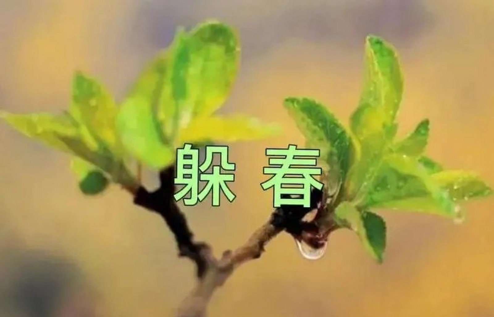 请问上班族怎样躲春