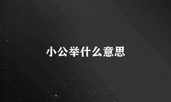 小公举什么意思