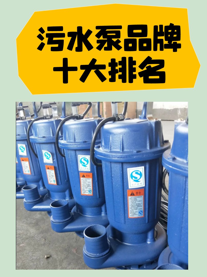 哪个牌子的污水泵好？