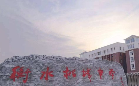 衡水桃城中学与衡水中学是一个学校吗？