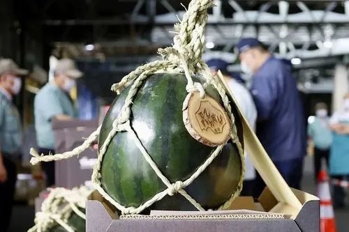 日本西瓜最贵多少钱一斤