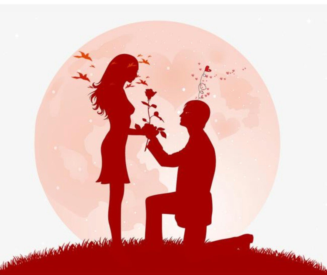 男朋友说562是什么意思？