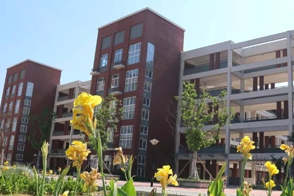 蒙城二中中考录取分数线2023