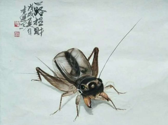 蟋字能有几个词