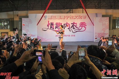 2012中国（南宁）性文化节暨生殖健康成人用品展览会的展期活动