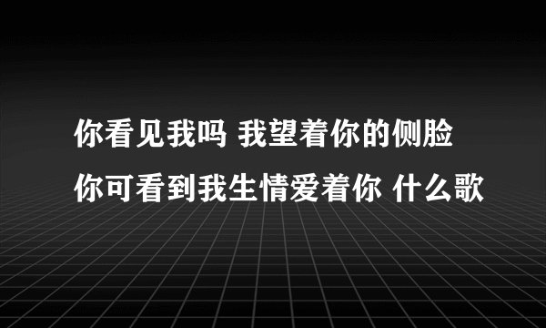 你看见我吗 我望着你的侧脸 你可看到我生情爱着你 什么歌