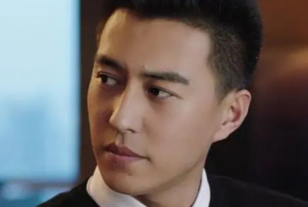 靳东演的电视剧全部