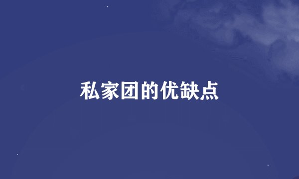 私家团的优缺点