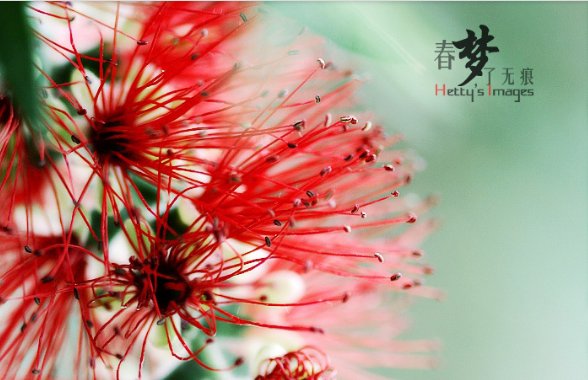 春梦了无痕。是什么意思