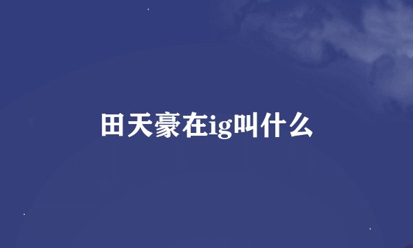 田天豪在ig叫什么