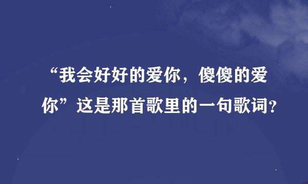 “我会好好的爱你，傻傻的爱你”这是那首歌里的一句歌词？