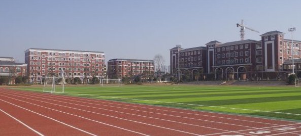 你的学校是什么样的、同学们在学校里做什么怎么回答?