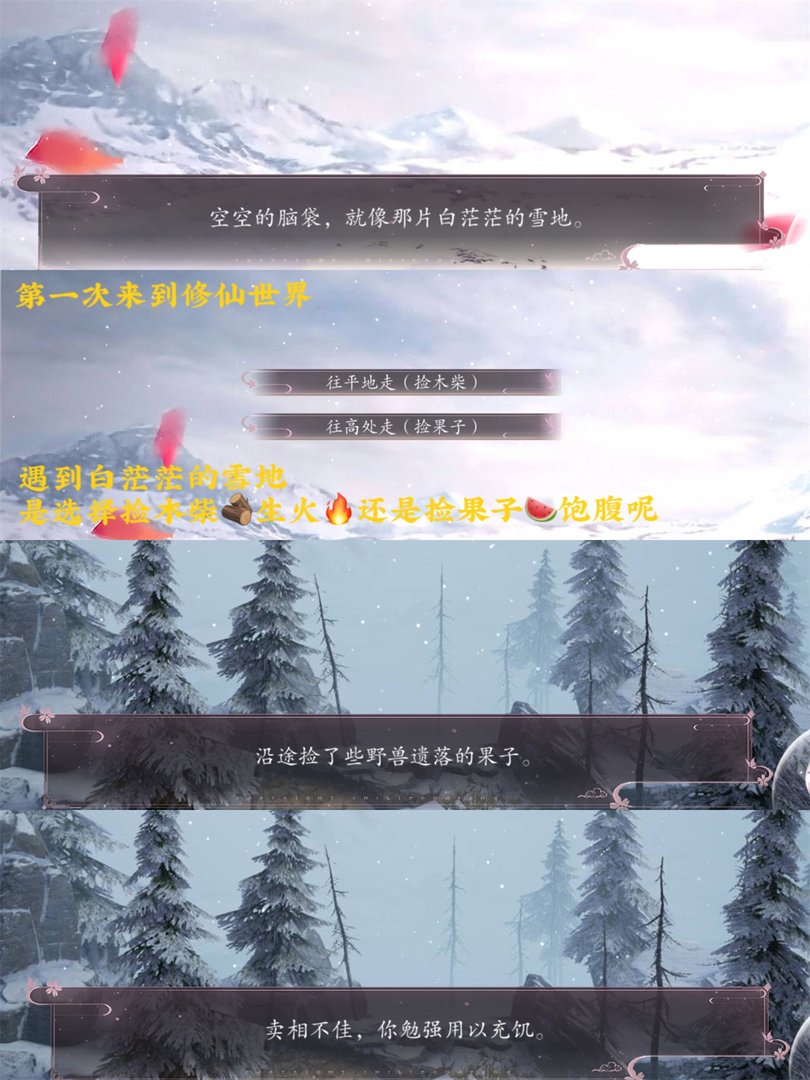 《师途》游戏的特点是什么？能给新手分享些攻略吗？