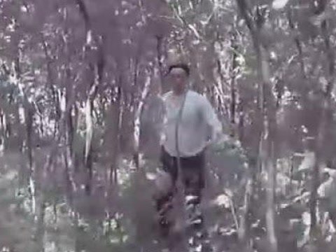 藁城疯狂的医生的经典台词