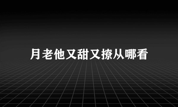 月老他又甜又撩从哪看