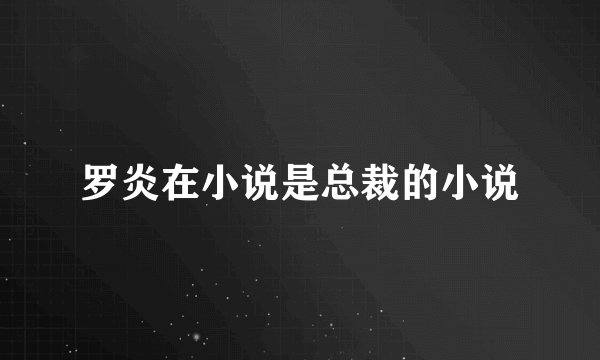 罗炎在小说是总裁的小说