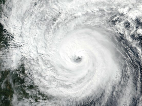 杜苏芮读音是什么？