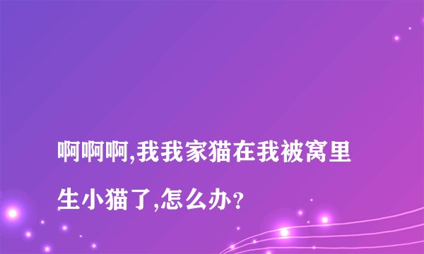 
啊啊啊,我我家猫在我被窝里生小猫了,怎么办？

