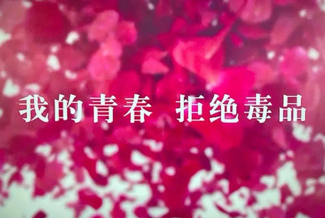 构筑拒毒的防线要从哪几方面入手