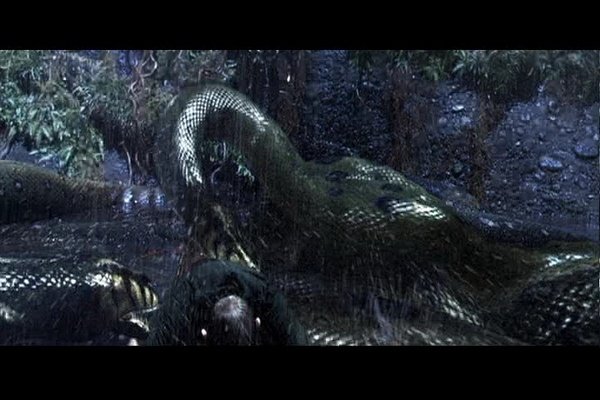 一部蛇的电影,一个大峡谷全是巨蟒,要吃人